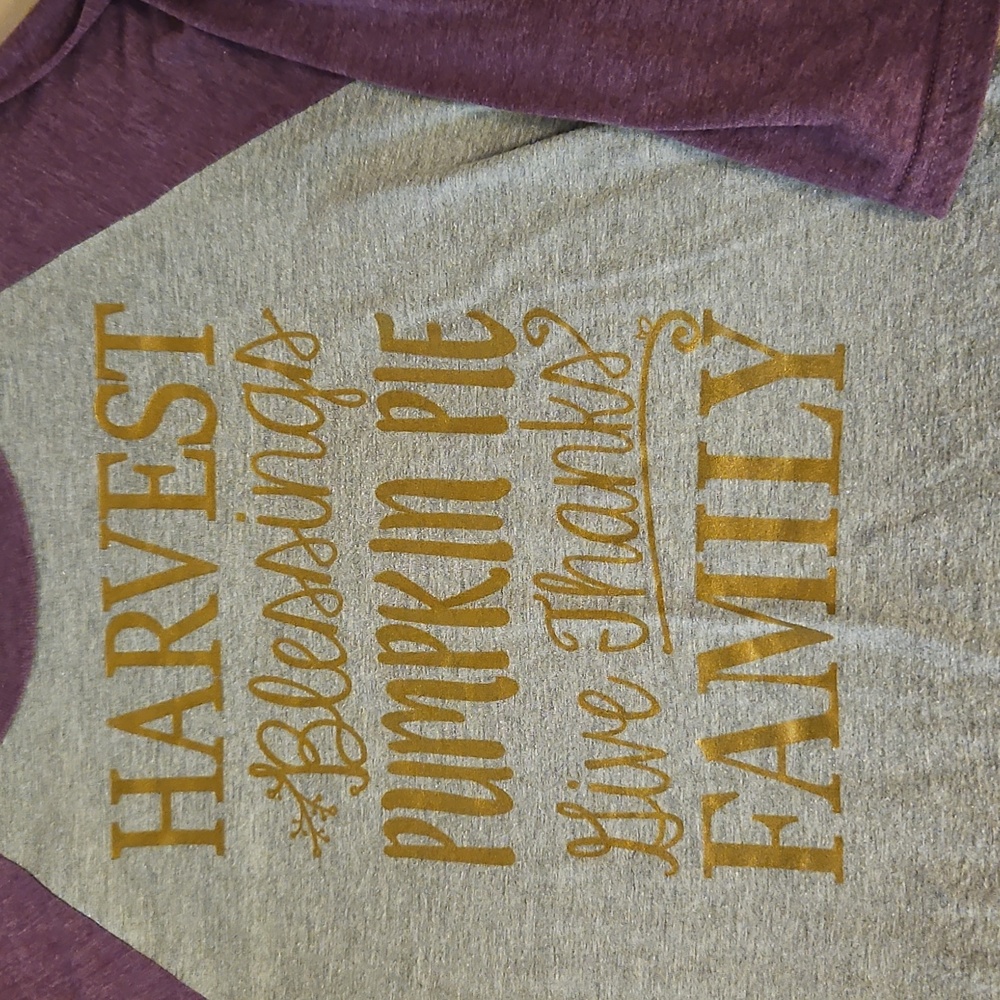 Fall Raglan Shirt - Picture 2 of 2